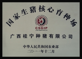 廣西桂寧公司資質(zhì)榮譽(yù)