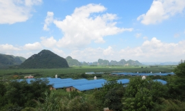 保育區(qū)和種豬區(qū)外景