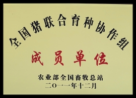 種豬培育基地資質(zhì)榮譽(yù)