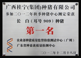 種豬公司資質(zhì)榮譽(yù)